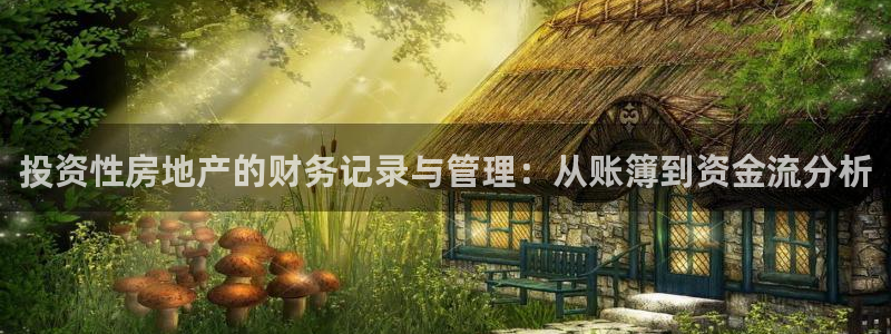 天狮娱乐股东57757：投资性房地产的财务记录与管理：从账簿