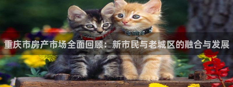 天狮娱乐指定：重庆市房产市场全面回顾：新市民与老城区的融合与