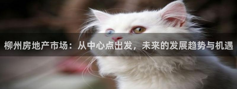 天狮娱乐是正规：柳州房地产市场：从中心点出发，未来的发展趋势