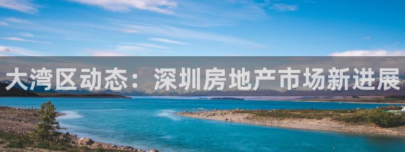 天狮娱乐可以赚钱吗：大湾区动态：深圳房地产市场新进展