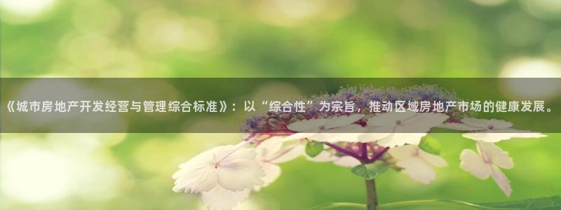 龙湖狮山天街苏州娱乐：《城市房地产开发经营与管理综合标准》：