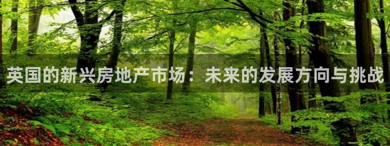 天狮娱乐无法登录怎么办：英国的新兴房地产市场：未来的发展方向