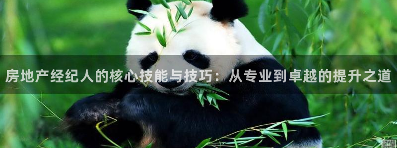 天狮娱乐湫33 300：房地产经纪人的核心技能与技巧：从专业