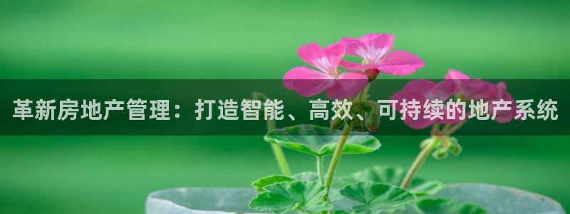 天狮娱乐嘉扣 o：革新房地产管理：打造智能、高效、可持续的地