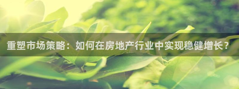 天狮娱乐官方网站：重塑市场策略：如何在房地产行业中实现稳健增