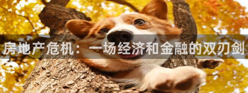 天狮娱乐购彩：房地产危机：一场经济和金融的双刃剑