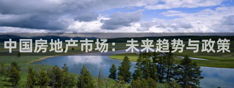 天狮娱乐950954：中国房地产市场：未来趋势与政策