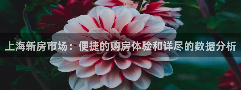 天狮娱乐 23976实z力：上海新房市场：便捷的购房体验和详