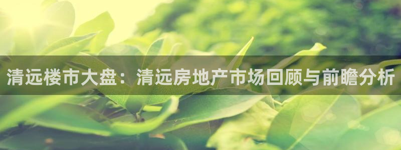 天狮娱乐代理找谁：清远楼市大盘：清远房地产市场回顾与前瞻分析