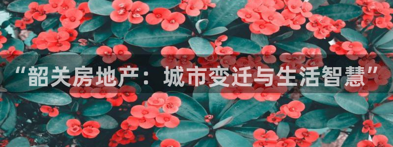 天狮娱乐q聊_99399天神_：“韶关房地产：城市变迁与生活