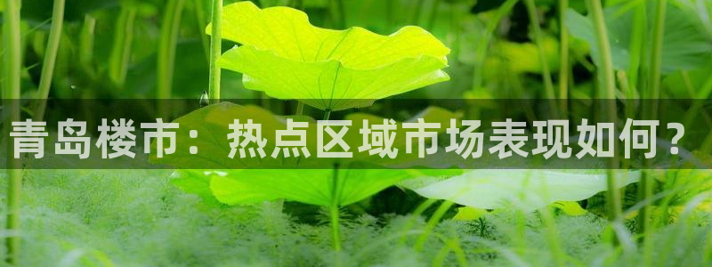 天狮天狮娱乐娱乐q：青岛楼市：热点区域市场表现如何？