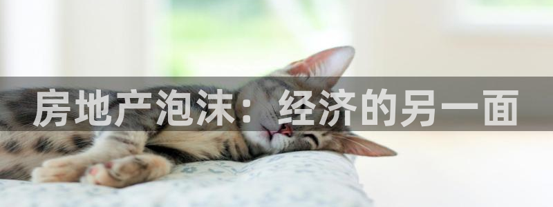 天狮娱乐b 判官是谁：房地产泡沫：经济的另一面