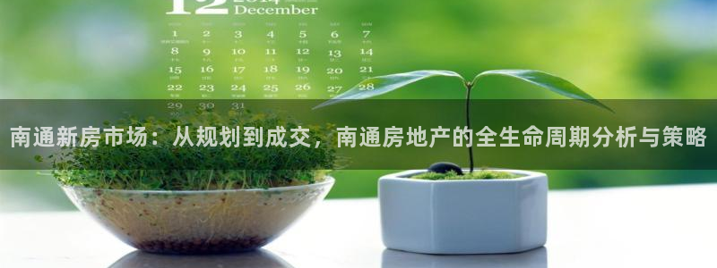 天狮娱乐 c主管57661：南通新房市场：从规划到成交，南通