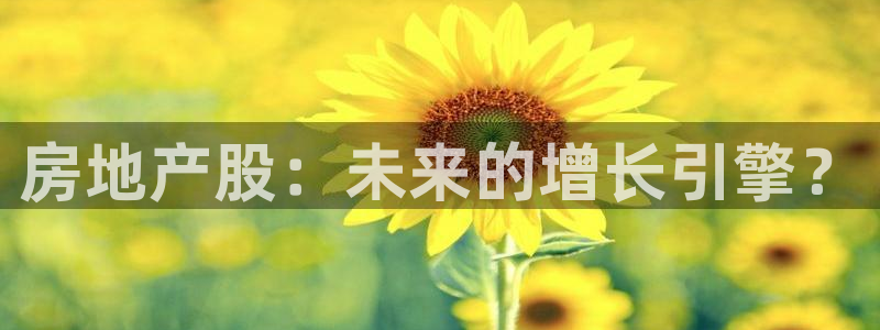 天狮娱乐q 找108306：房地产股：未来的增长引擎？