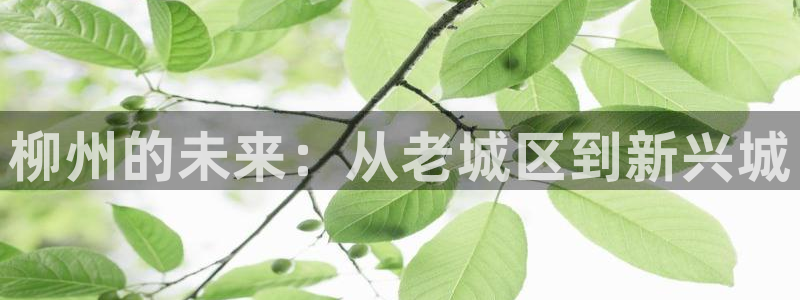 天狮娱乐平台找谁：柳州的未来：从老城区到新兴城