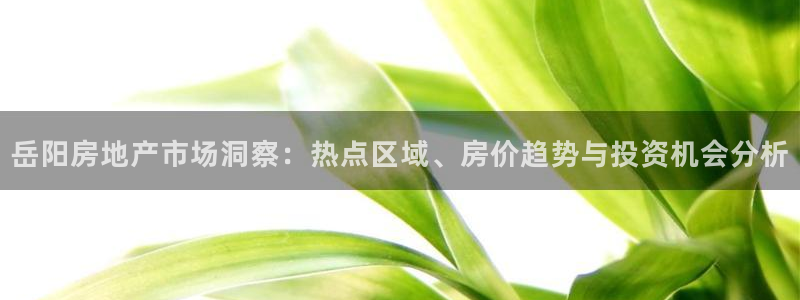 天狮娱乐官方网站：岳阳房地产市场洞察：热点区域、房价趋势与投