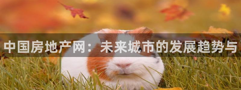 天狮娱乐怎样下载：中国房地产网：未来城市的发展趋势与