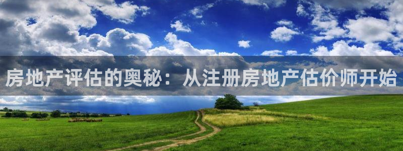天狮娱乐是做什么的：房地产评估的奥秘：从注册房地产估价师开始
