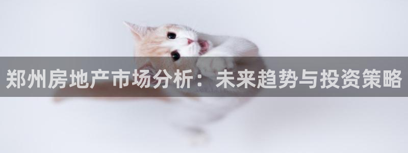 有玩天狮娱乐：郑州房地产市场分析：未来趋势与投资策略