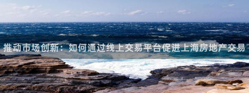 天狮娱乐真的假的：推动市场创新：如何通过线上交易平台促进上海
