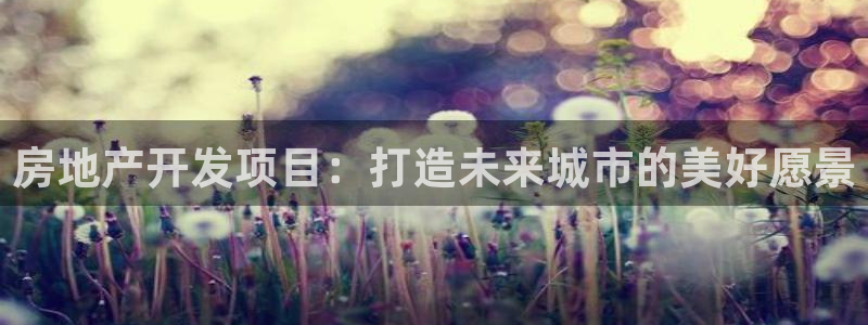 天狮娱乐是什么东西：房地产开发项目：打造未来城市的美好愿景
