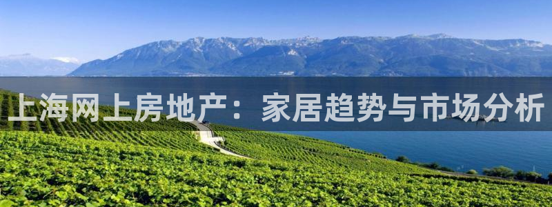 天狮娱乐股东36633：上海网上房地产：家居趋势与市场分析