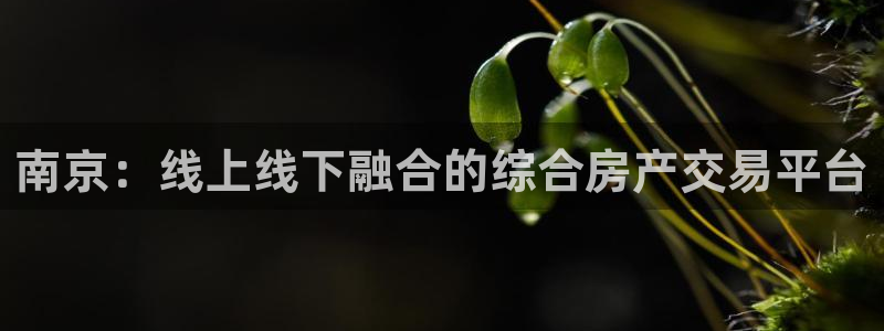 天狮天狮娱乐下载：南京：线上线下融合的综合房产交易平台