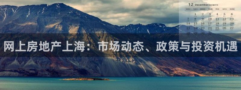 天狮娱乐hefame：网上房地产上海：市场动态、政策与投资机