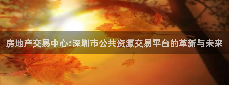 天狮娱乐平台：房地产交易中心:深圳市公共资源交易平台的革新与