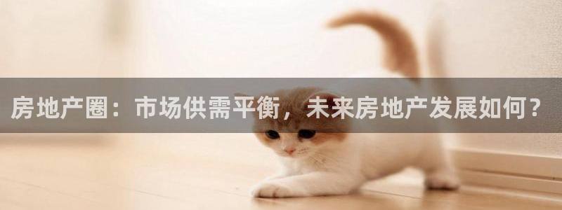 天狮娱乐代理找谁：房地产圈：市场供需平衡，未来房地产发展如何