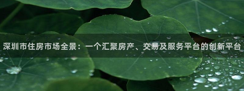 天狮娱乐平台怎么样：深圳市住房市场全景：一个汇聚房产、交易及