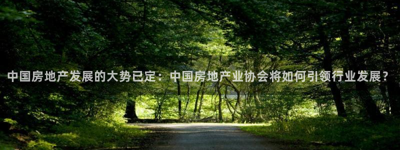 天狮娱乐分分：中国房地产发展的大势已定：中国房地产业协会将如