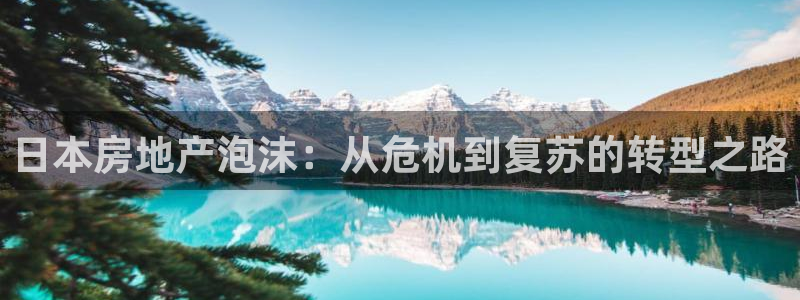 天狮娱乐是赌博吗：日本房地产泡沫：从危机到复苏的转型之路