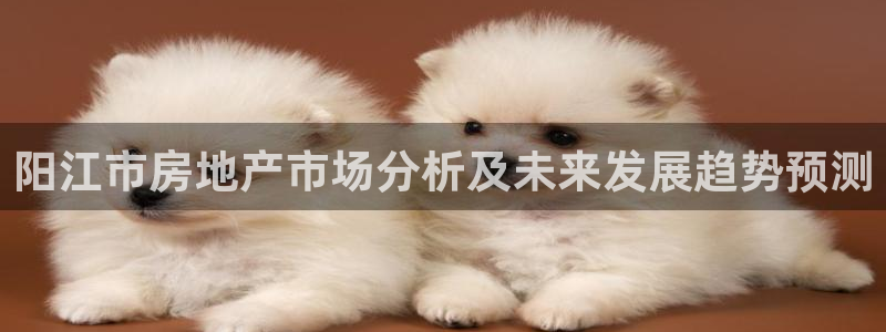 天狮娱乐彩票app：阳江市房地产市场分析及未来发展趋势预测