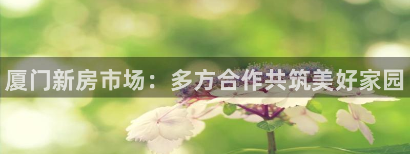 天狮娱乐总部在哪里：厦门新房市场：多方合作共筑美好家园