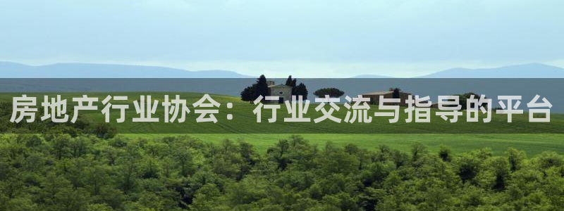天狮娱乐会员：房地产行业协会：行业交流与指导的平台