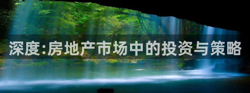 天狮娱乐h 判官：深度:房地产市场中的投资与策略