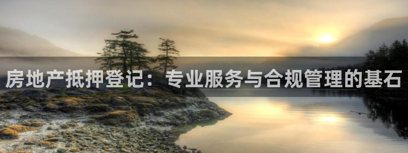 天狮娱乐 下载：房地产抵押登记：专业服务与合规管理的基石