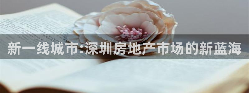天狮娱乐专线：新一线城市:深圳房地产市场的新蓝海