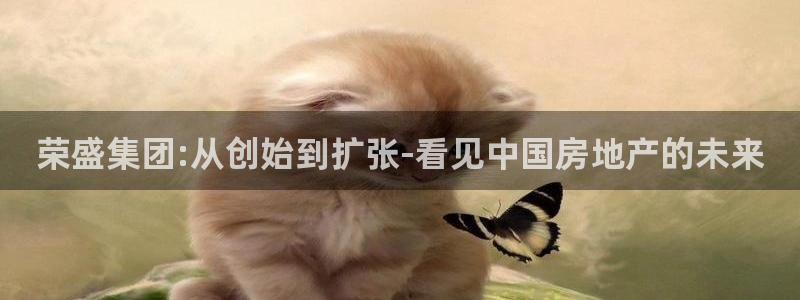 天狮娱乐谁在玩：荣盛集团:从创始到扩张-看见中国房地产的未来
