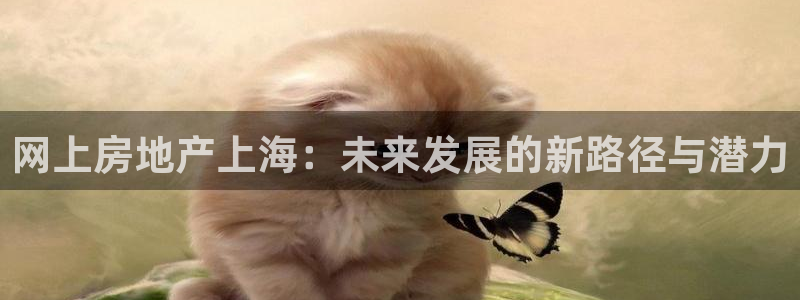 天狮娱乐彩票平台：网上房地产上海：未来发展的新路径与潜力