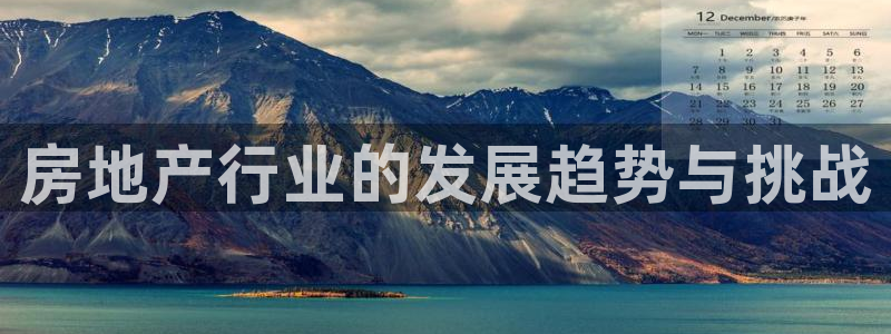 天狮娱乐主管招商：房地产行业的发展趋势与挑战