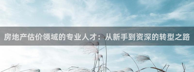 天狮娱乐主管招商：房地产估价领域的专业人才：从新手到资深的转