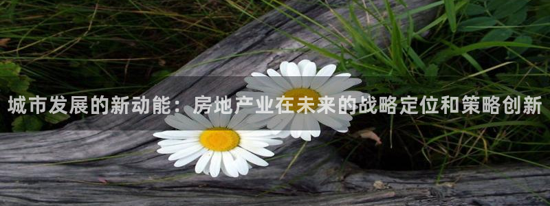天狮娱乐平台是哪里的：城市发展的新动能：房地产业在未来的战略