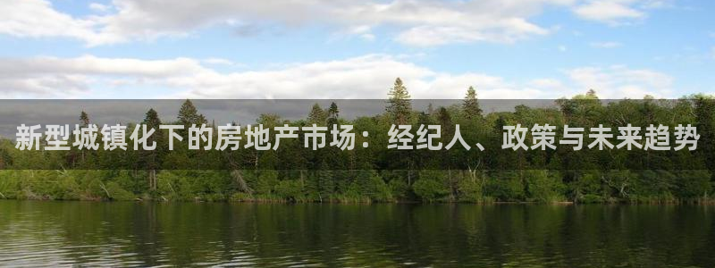 天狮娱乐 b运营67646：新型城镇化下的房地产市场：经纪人