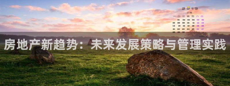 天狮娱乐平台怎么样：房地产新趋势：未来发展策略与管理实践