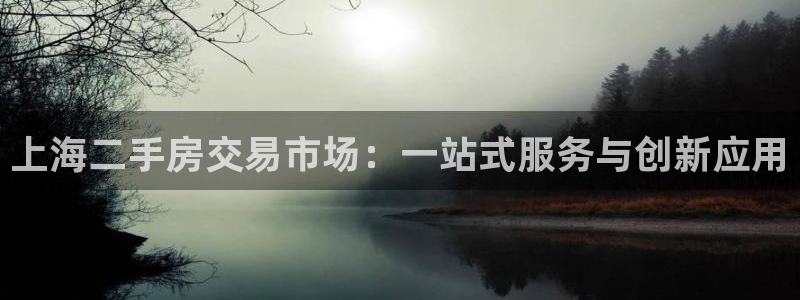 天狮娱乐主管191166薇星h：上海二手房交易市场：一站式服