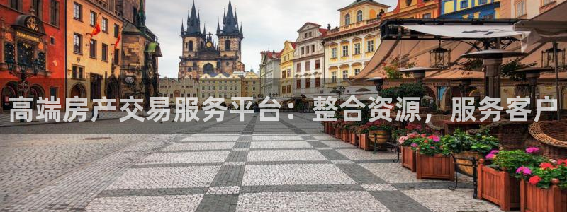 财富娱乐会所天狮：高端房产交易服务平台：整合资源，服务客户