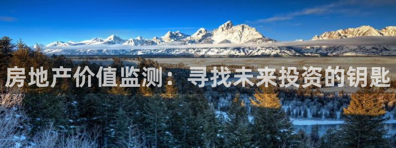 天狮娱乐股东Q 882092：房地产价值监测：寻找未来投资的