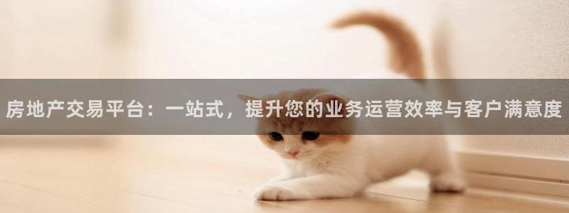 天狮娱乐 138do点c0m：房地产交易平台：一站式，提升您